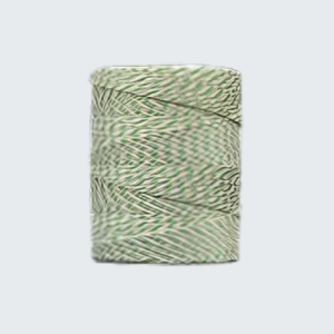 Spago Rayon bianco/verde gr 500